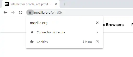 Google Chrome browser indicating that a website is using HTTPS